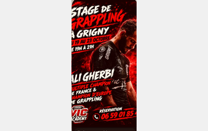 Le VIC de Grigny accueille un stage de grappling sous la direction de HAMMA